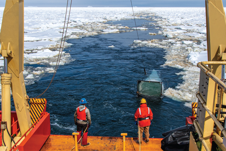 Antarctic research links warming to fish decline - Vimarsana News