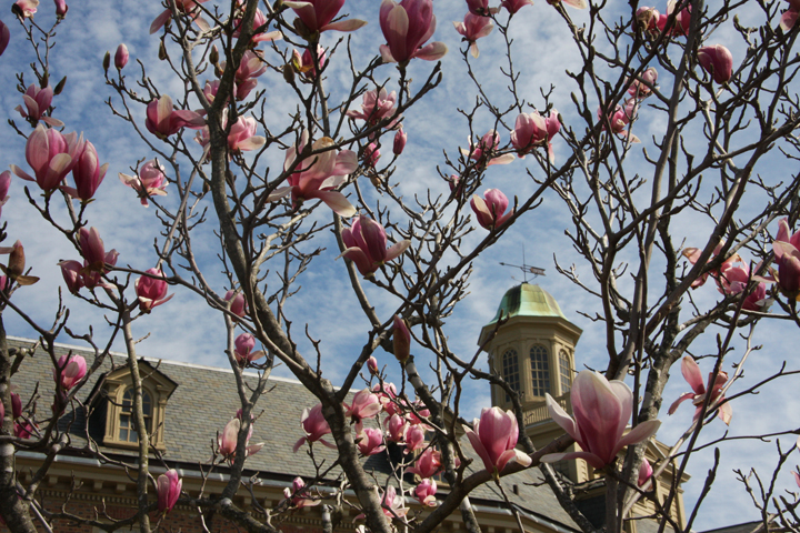 W&M to host teach-in on climate solutions and justice - Vimarsana News