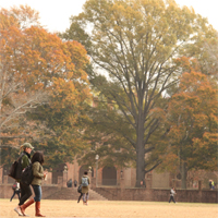 Students walk through the Sunken Garden during the fall with the Wren Building in the background