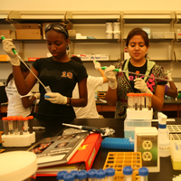 Students wearing gloves use lab equipment to put a liquid into vials