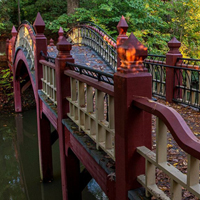 Close-up of Crim Dell Bridge with fall leaves