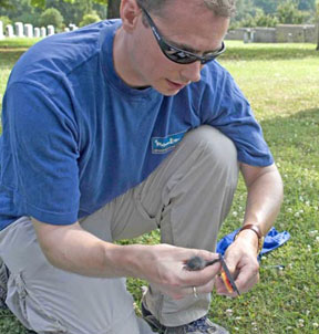 Swaddle examines a young bluebird. By Cindy Baker.