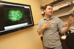 “This thing was my answer to lack of a window in my lab,” Matt Wawersik says, gesturing to the large monitor on the wall. “This is a great teaching tool.” Wawersik studies the genetics of stem cells in fruit flies, inducing mutation to identify the cause of change in individual stem cells. His work has implications for human health issues ranging from fertility to cancer: “There’s a cancer stem cell hypothesis that basically says that the hardest to treat cancers actually have cancer stem cells at the root of them—stem cells that have transformed into a cancer cell.”
