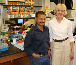 Post-doc Manu Mavinakere (left), an instrumental figure in Lizabeth Allison's lab, is beginning a painstaking analysis of amino acids related to nuclear transfer.