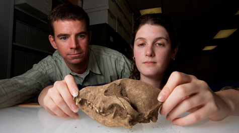 Undergraduate student research