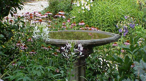 Birdbath