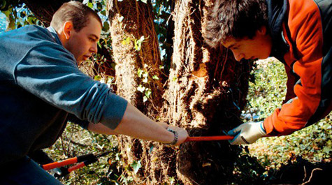 Service-minded school