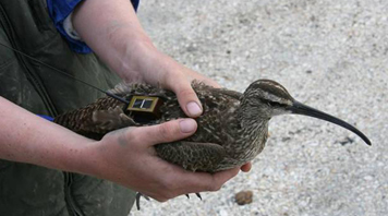 Solar-powered flight