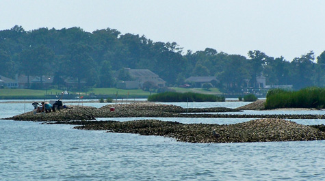 Coastal America Award