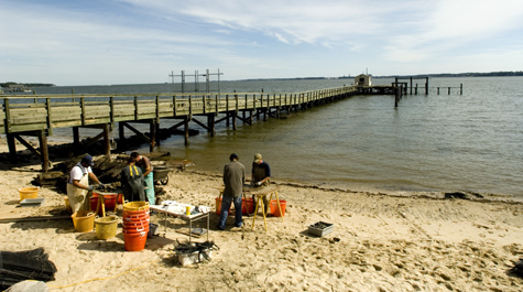 Marine science minor