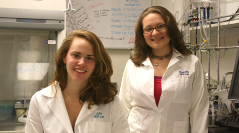 Summer research fellows