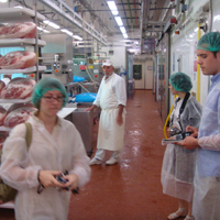 Visiting a San Nicola prosciutto ham factory in Parma 