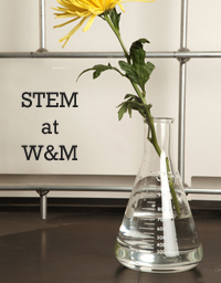 stem