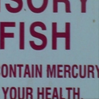 mercurylistingimage