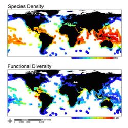 Species density (a relative measure of species richness) decreases poleward.  Functional diversity is highest in the Tropical Eastern Pacific and at dispersed hotspots at a range of latitudes. Colour classifications differ between maps due to different ranges and distributions of diversity values. Minimum and maximum observed values are provided in the key for each plot as effective numbers per 500 square meters. Click for a larger image.
