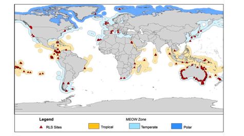 Global fish survey