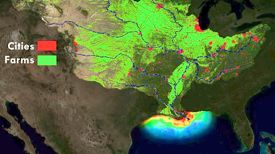 Streams and rivers carry excess nitrogen from farm fields and other sources to the coastal ocean, where it fuels low-oxygen dead zones that can displace or suffocate marine life. (NOAA image)