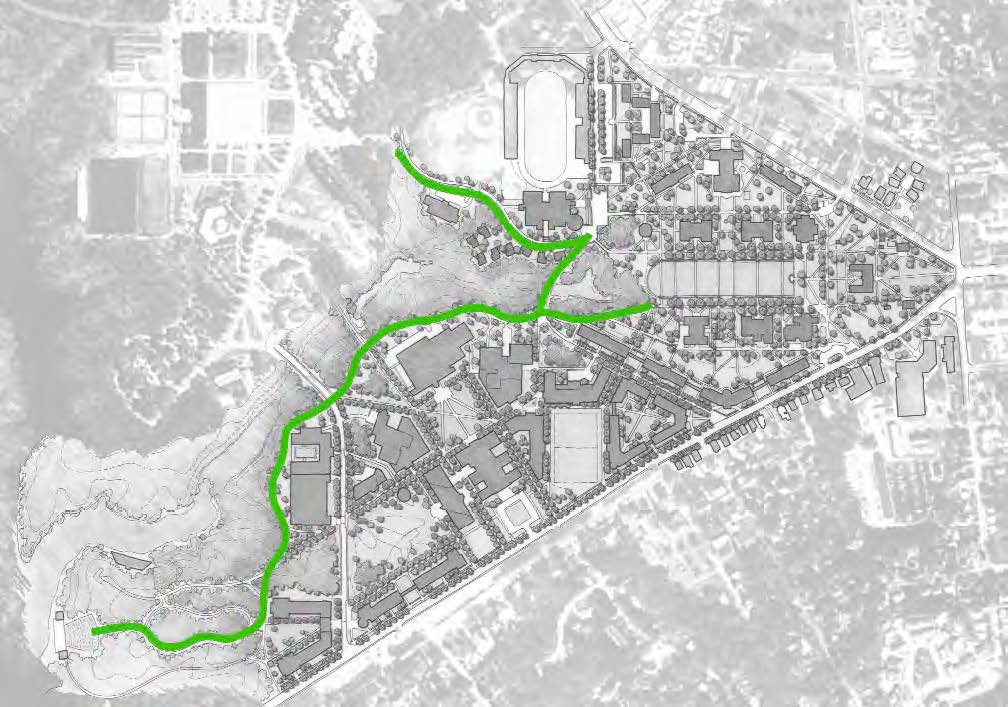 Landscape - Ravine Walks