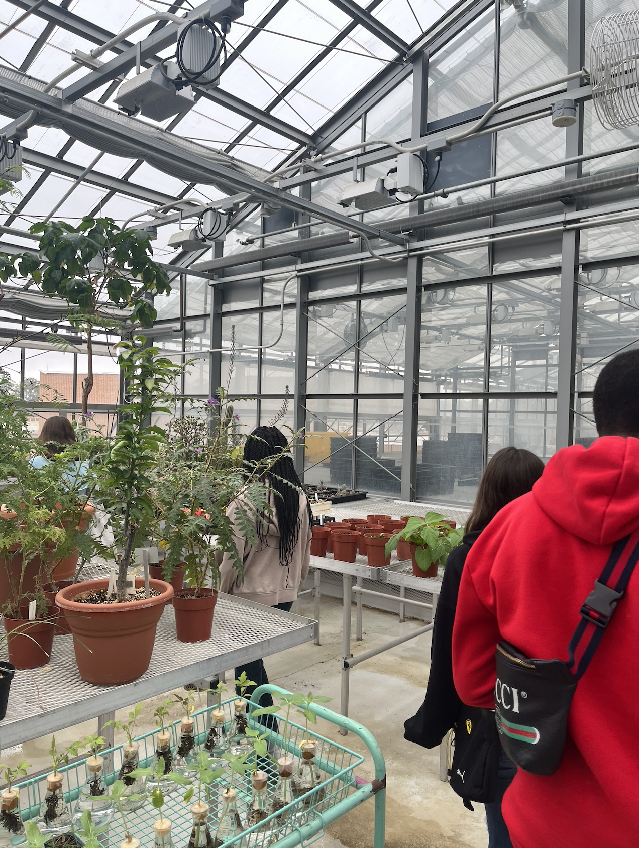 Students learning more about the greenhouse on W&M Campus