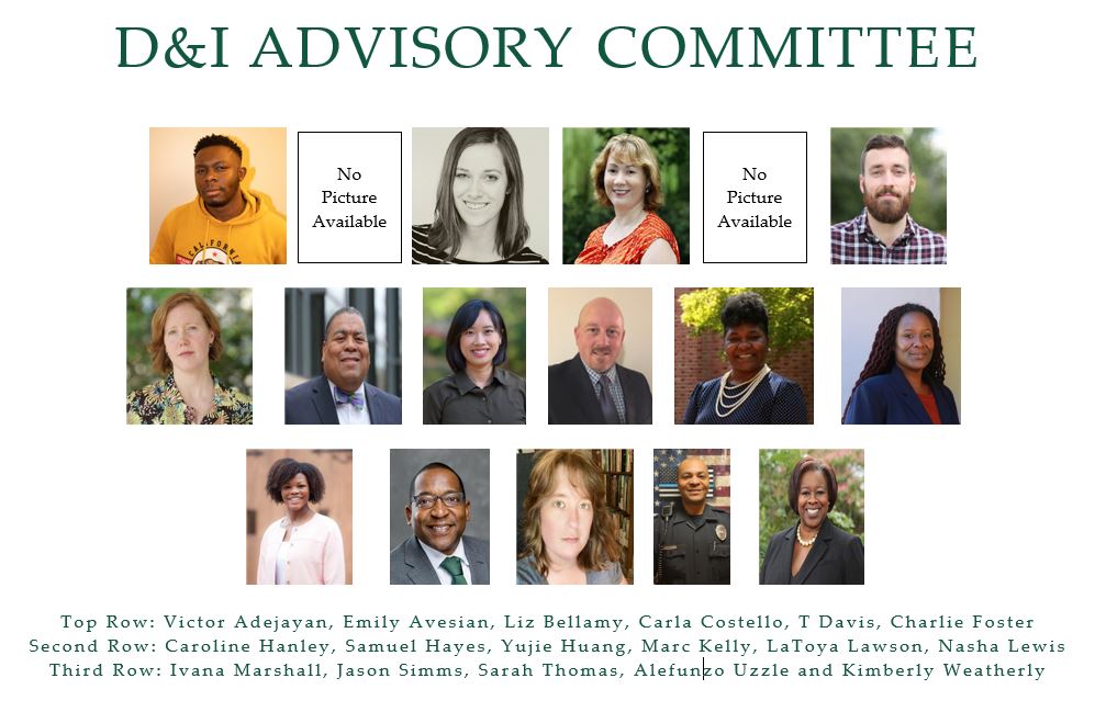 Diversity & Inclusion Advisory Committee