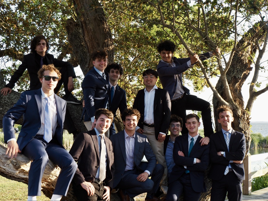 Members of Alpha Epsilon Pi wearing suits in a tree.
