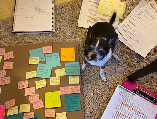 Student research with dog