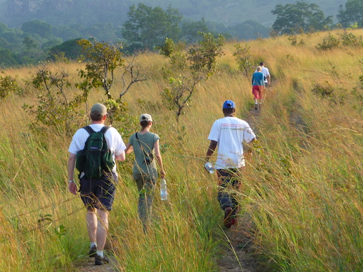 Conservation in Gabon