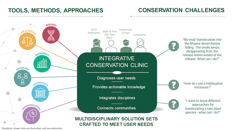 Clinic Infographic