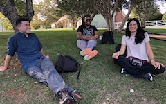 Faculty and students sitting in grass
