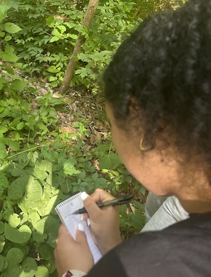 Cindia Romero Araujo '26 takes notes on Indigenous Plants as part of a sustainable food systems and child nutrition project with a collective of IIC partners. Image: Chloe Thompson 