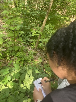 Cindia Romero Araujo '26 takes notes on Indigenous Plants. Image: Chloe Thompson '27