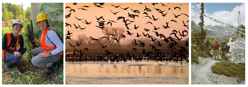 L to R: Students setting camera traps, sandhill cranes in flight, students trekking in Nepal
