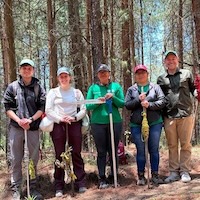 Researchers with shovels in forest