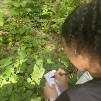 person making nature notes