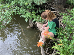 CRP_Water_sensor