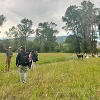 Herders and herds