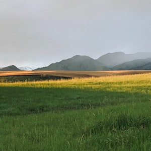 Montana grasslands