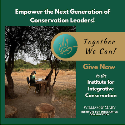 Standard-givenow-IIC-thumbnail