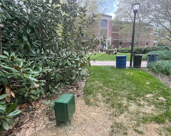 Access Point nestled by a magnolia tree outside of Swem Library.