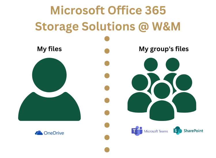 O365 Storage Options - Onedrive for me, Sharepoint and Teams for my group.