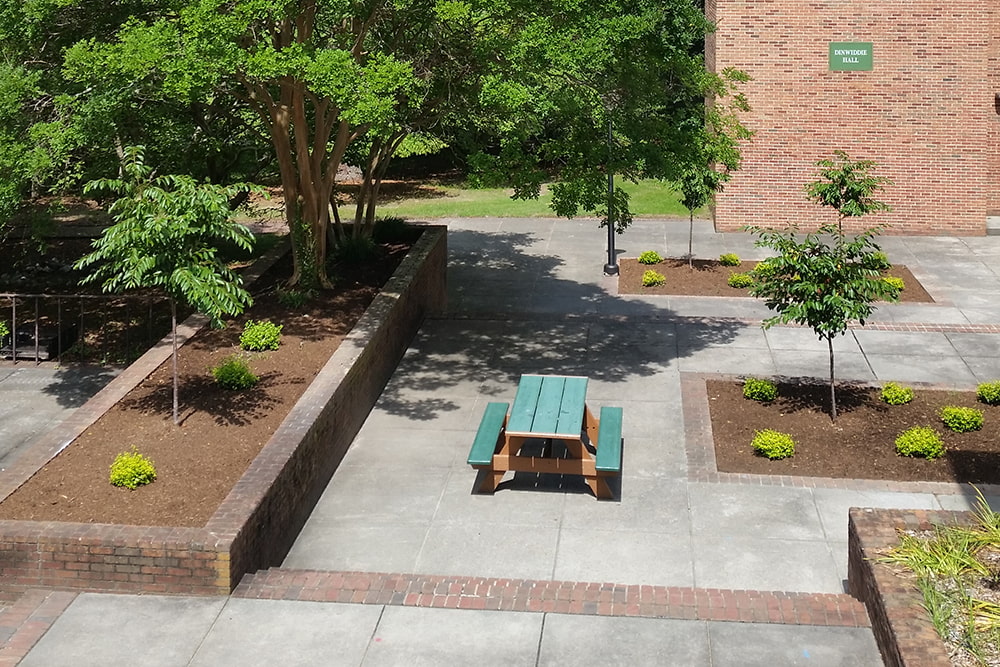 Garden beds on a paved patio surround a picnic table.