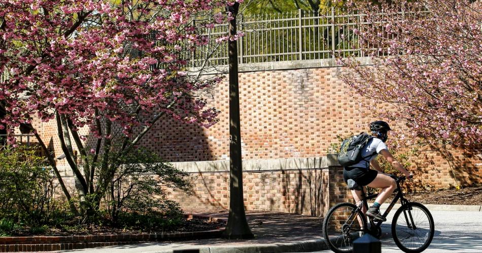 spring, flower blossoms, biking, student on bike, outdoors