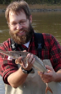 VIMS professor Eric Hilton holds a shovelnose sturgeon (Scaphirhynchus platorynchus) from the Missouri River.
