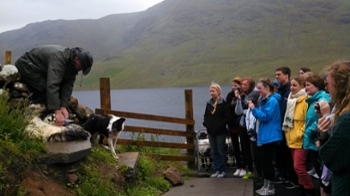 W&M students experience new customs and culture during their study abroad program in Galway, Ireland.