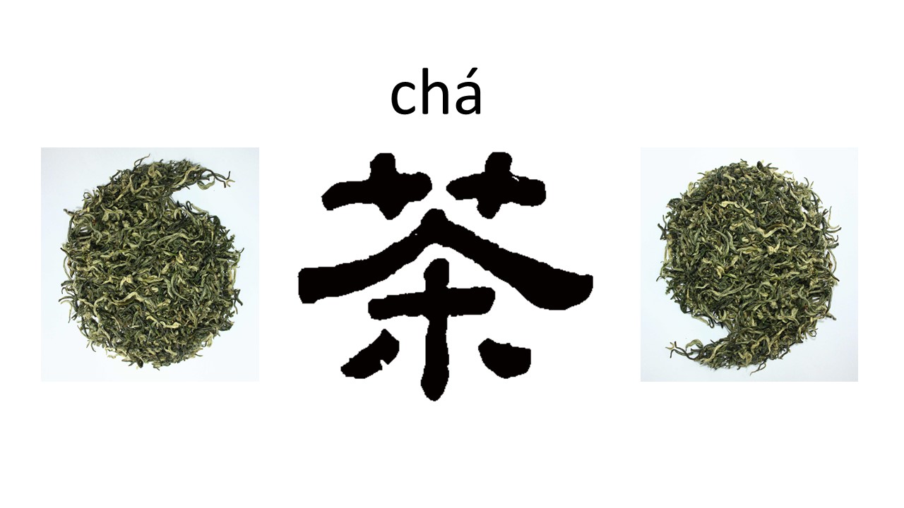cha