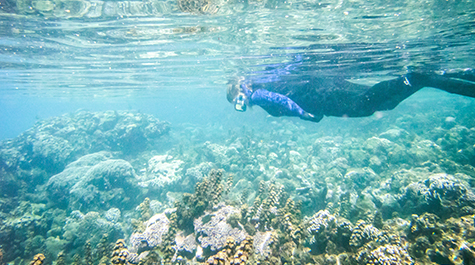 Coral-Reef Research: 