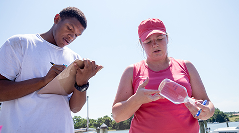 Experimental Oysters