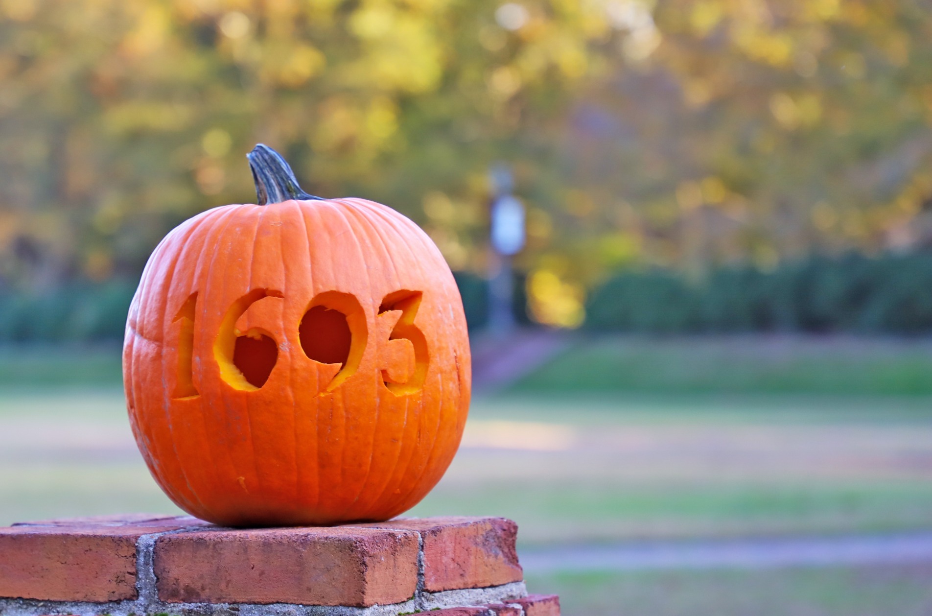Even the pumpkins were showing their Tribe Pride this fall. (Photo courtesy of William & Mary via Facebook)