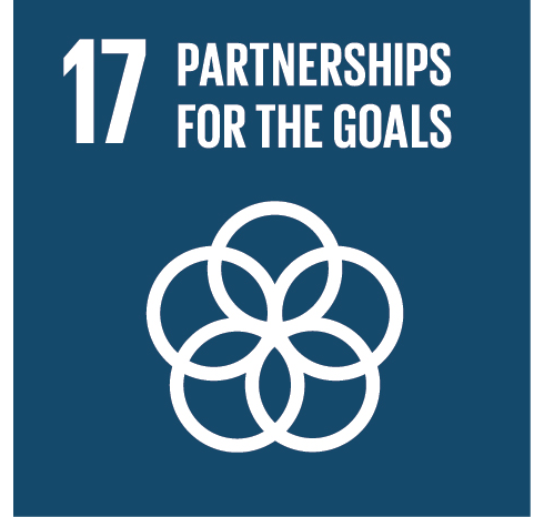 17: Partnerships for the Goals