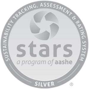 STARS Silver